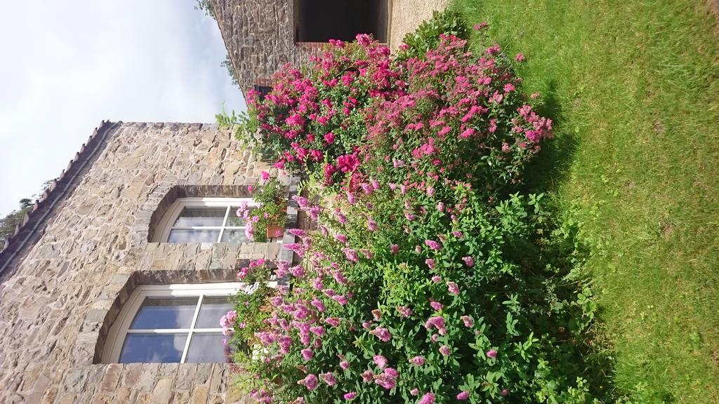B&B Aux Anges Profondeville Bagian luar foto