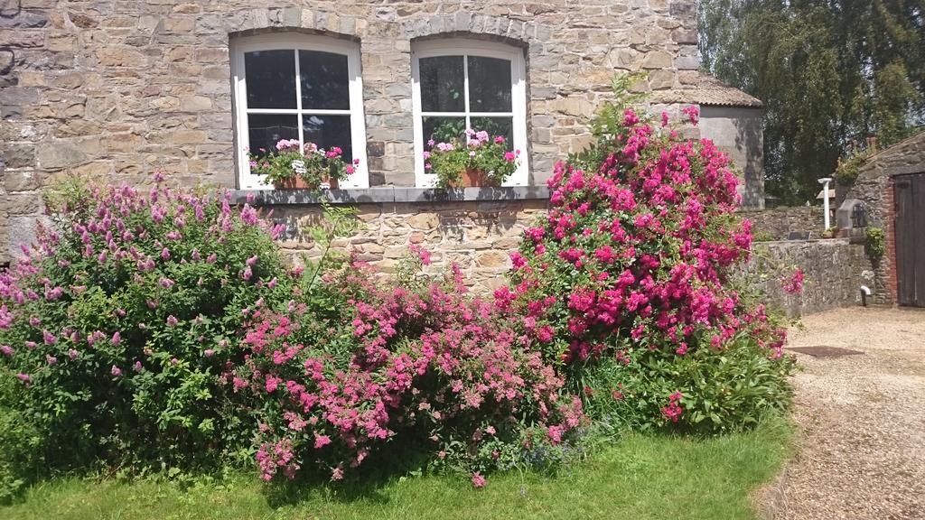B&B Aux Anges Profondeville Bagian luar foto