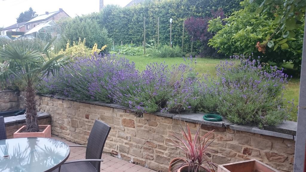 B&B Aux Anges Profondeville Bagian luar foto